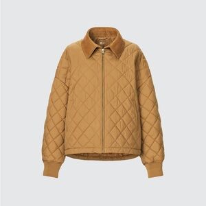 UNIQLO x CLARE WAIGHT KELLER :C Pufftech Blouson  Warm Padded Puffer Sz  L